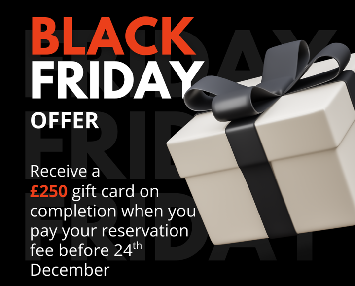 Black Friday Offer (1)
