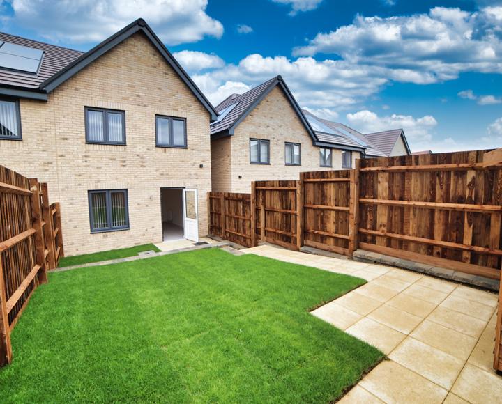 The grassed area of the back garden