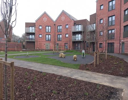 Play Area
