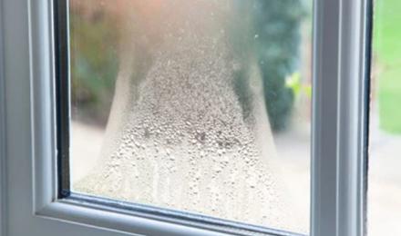 Condensation shown on a window pane.