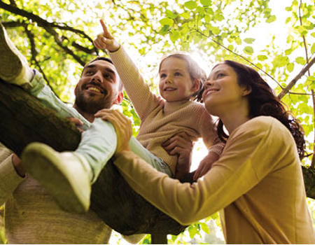 A stock image of a mum and dad holding a little girl in a tree