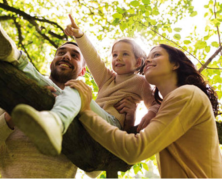 A stock image of a mum and dad holding a little girl in a tree