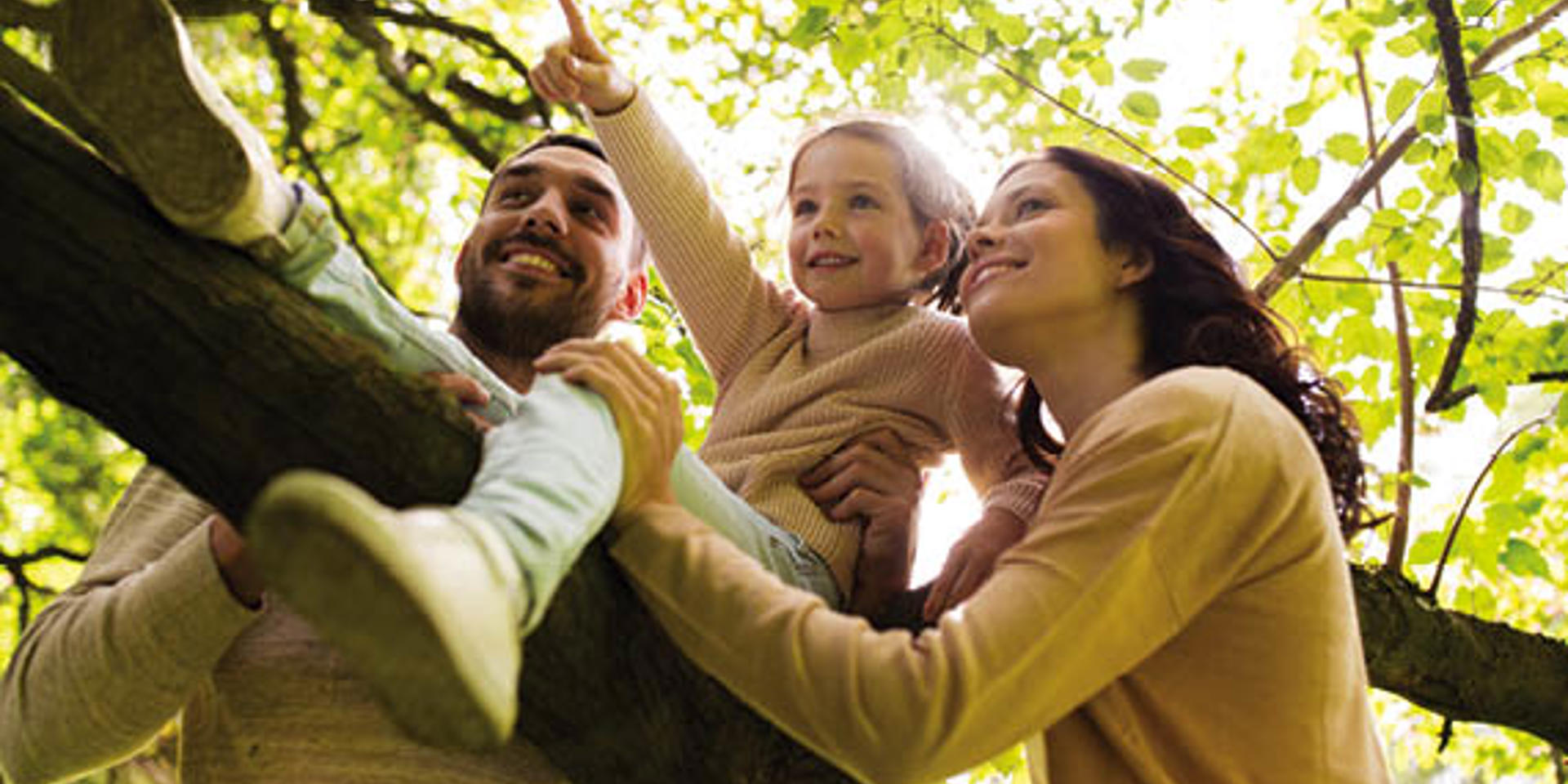 A stock image of a mum and dad holding a little girl in a tree
