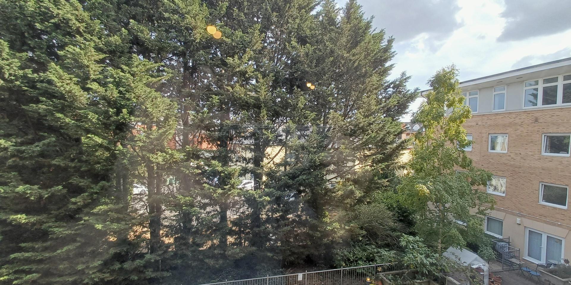 View From Windows