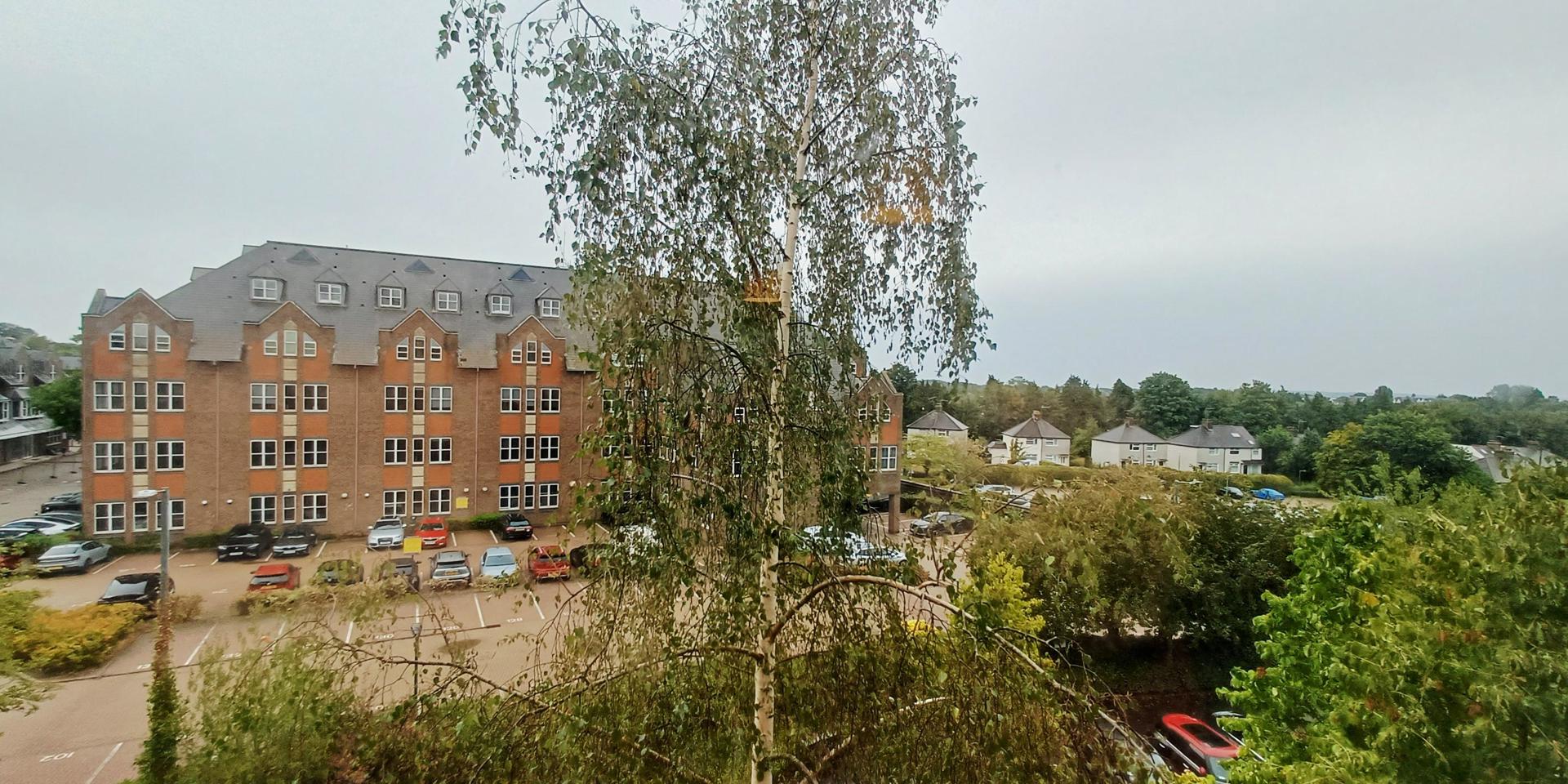 View From Lounge